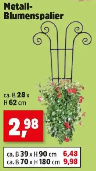 Thomas Philipps Metall- Blumenspalier Angebot