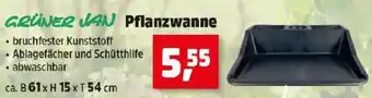Thomas Philipps Pflanzwanne Angebot