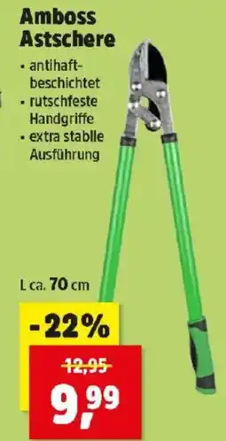 Thomas Philipps Amboss Astschere Angebot