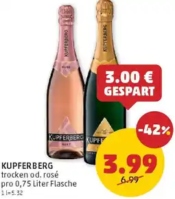 PENNY Kupferberg Angebot