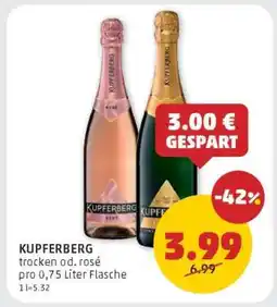 PENNY Kupferberg Angebot