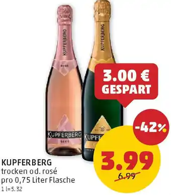 PENNY Kupferberg Angebot