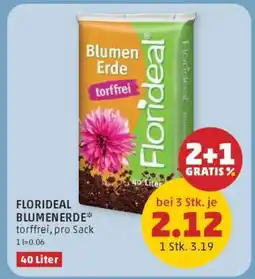 PENNY FLORIDEAL BLUMENERDE Angebot