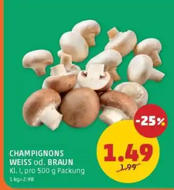 PENNY CHAMPIGNONS WEISS od. BRAUN Angebot