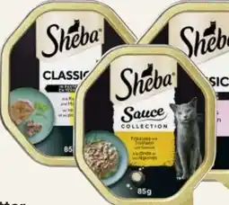 MPreis Sheba Katzenfutter-Schale Angebot