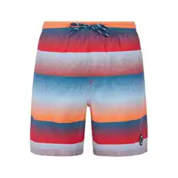 Hervis Protest Herren-Badeshort Radar Angebot