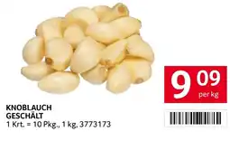 Transgourmet knoblauch geschält Angebot