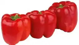 Transgourmet Paprika Angebot