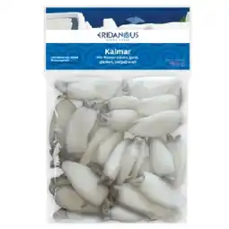 Lidl Tintenfisch Lidl Angebot