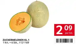 Transgourmet Zuckermelonen Angebot