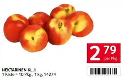 Transgourmet Nektarinen Angebot