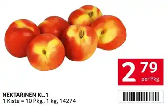 Transgourmet Nektarinen Angebot