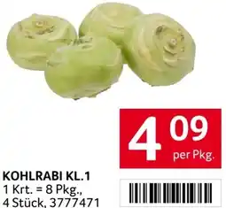 Transgourmet Kohlrabi Angebot