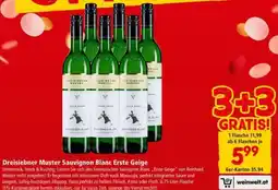 Interspar Dreisiebner Muster Sauvignon Blanc Erste Geige Angebot