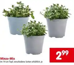 Interspar Minze-Mix Angebot