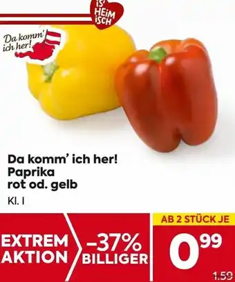 Billa Da komm ich her! Paprika Angebot