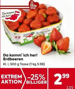 Billa Da komm ich her! Erdbeeren Angebot