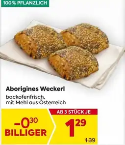 Billa Aborigines Weckerl Angebot