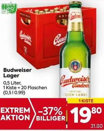 Billa Budweiser Lager Angebot