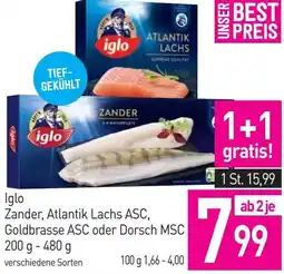 Sutterlüty Zander, Atlantik Lachs ASC Angebot