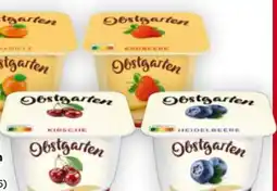 Billa Danone Obstgarten Angebot