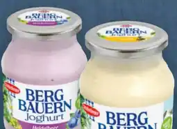 Billa Schärdinger Bergbauern Joghurt Angebot