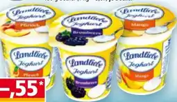 Norma Landliebe Fruchtjoghurt Angebot