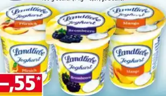 Norma Landliebe Fruchtjoghurt Angebot