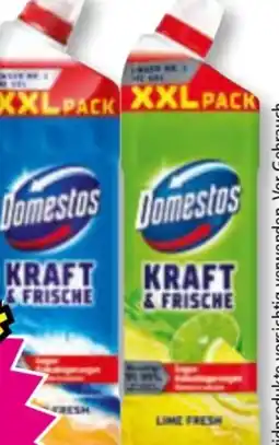 Norma Domestos Kraft & Frische WC Gel Angebot