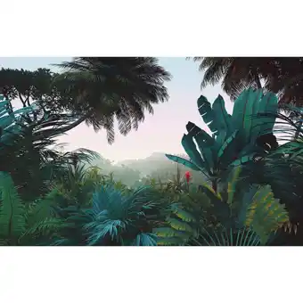Möbelix Vliestapete 400/250 cm Bäume Angebot