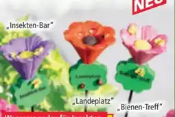 Norma Giardessa Insekten-Bar Angebot