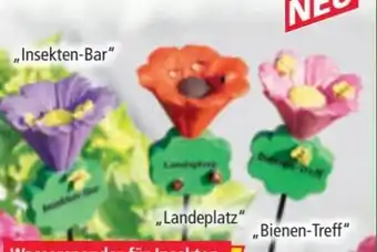 Norma Giardessa Insekten-Bar Angebot