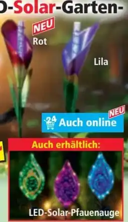 Norma EZSolar LED-Solar-Gartenstecker Calla Angebot
