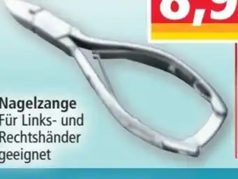 Norma Top Selection Profi-Edelstahl-Nagelzange Angebot