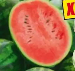 Norma River Valley Dumara Riesen Wassermelone Angebot