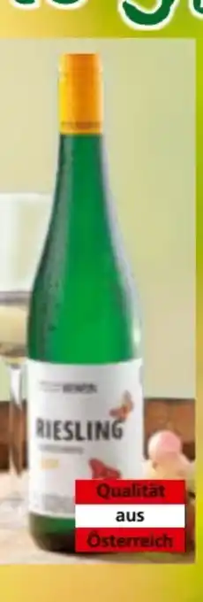 Norma Weingut Armin Huber Bio Riesling Angebot