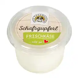 Billa Schafsgupferl Frisch- od. Mischkäse BILLA Angebot