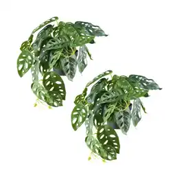 Möbelix Kunstpflanze, Grün inkl. Topf, Schwarz, H: 24 cm Angebot