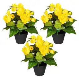 Möbelix Kunstpflanze Begonien inkl. Topf D: 8 cm Angebot