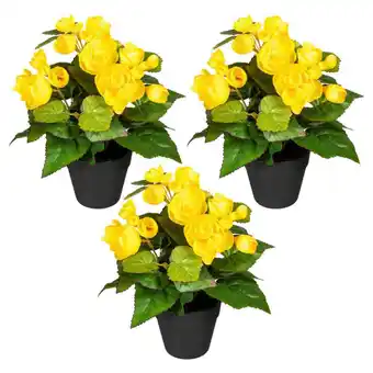 Möbelix Kunstpflanze Begonien inkl. Topf D: 8 cm Angebot