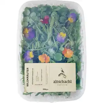 Metro Wildkräutersalat, Preisangabe ohne MwSt. (Preis inkl. MwSt. 17,59 €), METRO Angebot