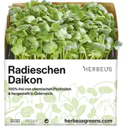 Metro Kressen div. Sorten, Preisangabe ohne MwSt. (Preis inkl. MwSt. 2,41 €), METRO Angebot