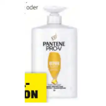 Hofer XXL Shampoo div. Sorten HOFER Angebot