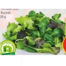 Hofer Bio-Pflücksalat versch. Sorten HOFER Angebot