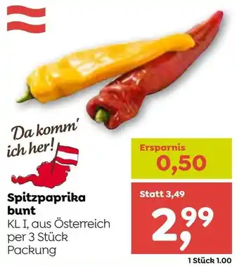 ADEG Spitzpaprika bunt Angebot
