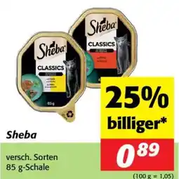 Nah&Frisch Sheba Angebot