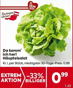 Billa Da komm' ich her! Häuptelsalat Angebot