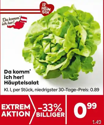 Billa Da komm' ich her! Häuptelsalat Angebot
