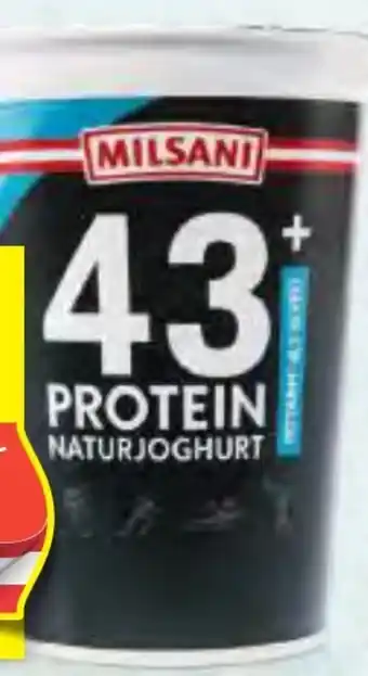 Hofer Milsani High Protein Naturjoghurt Angebot