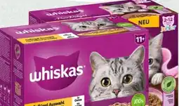 Spar Whiskas Katzennahrung Angebot